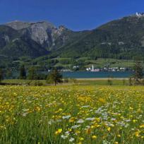 Wolfgangsee-Lauf 2000