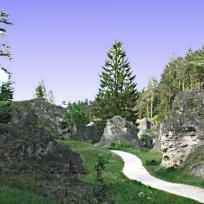 Steinheimer Wental-Lauf 2001
